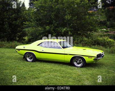 1970 Dodge Challenger Muscle Car Rear Stock Photo - Alamy