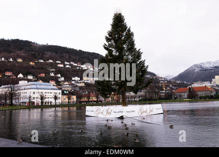 The Famous Lille Lungegardsvannet Lake in a Small Park in Central Bergen with Christmas Tree Norway Stock Photo