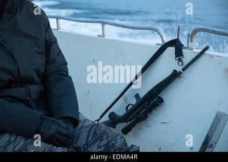 Hunting rifle in Northeast Greenland. Stock Photo