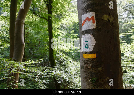 Waymark on the Mullerthal Trail near Nommern, Luxembourg Stock Photo