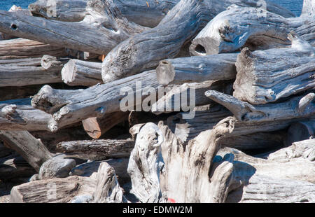 Huon pine logs, salvaged from the bed of the Gordon River, await processing at a specialised mill in Strahan, Tasmania Stock Photo