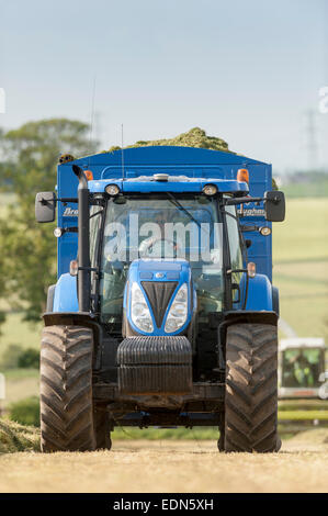 New Holland tractor with big trailer full of new cut grass to make silage. Cumbria, UK Stock Photo