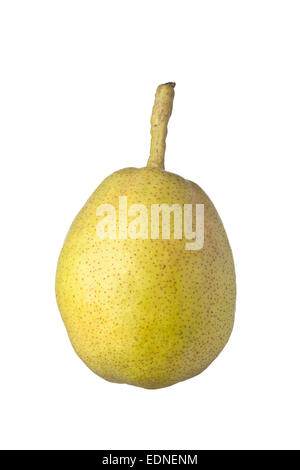 Single whole Asian pear isolated on white background Stock Photo