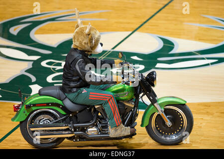 Milwaukee, WI, USA. 6th Jan, 2015. Bango entertains the crowd during the NBA game between the Phoenix Suns and the Milwaukee Bucks at the BMO Harris Bradley Center in Milwaukee, WI. Suns defeated the Bucks 102-96. John Fisher/CSM/Alamy Live News Stock Photo