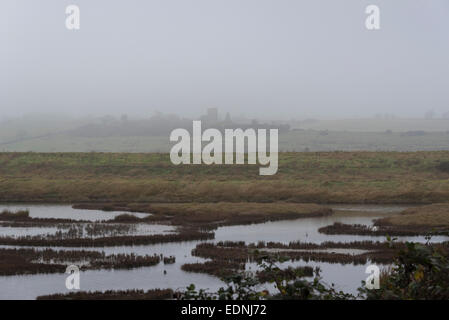 The ruins of Hadleigh Castle, taken on a foggy day from Two Tree Island, Essex with lagoons in the foreground Stock Photo