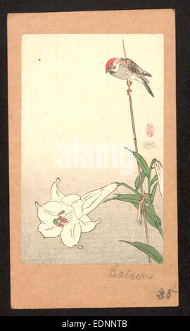Yuri ni shokin, Small bird on lily plant Stock Photo
