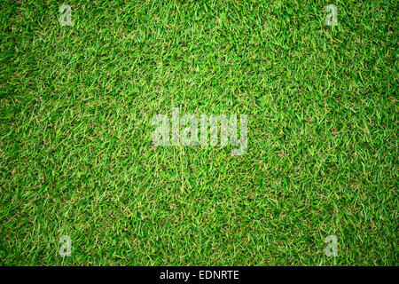 Green artificial grass texture as background Stock Photo - Alamy