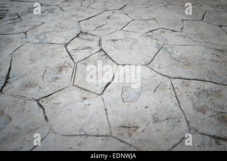 Concrete texture Stock Photo