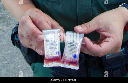 US Customs and Border Protection Officer holding reagent test kits for MDMA. See description for more information Stock Photo
