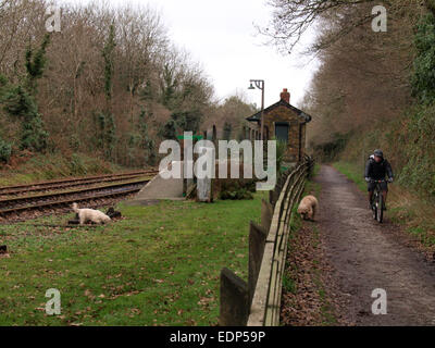 Boscarne Junction railway station,  Bodmin and Wenford Railway next to the Camel Trail cycle route in winter, Cornwall, UK Stock Photo