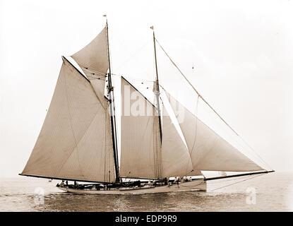 Mayflower, Mayflower (Schooner), Yachts, 1891 Stock Photo