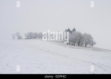 Frosted Tree in Snow Covered Winter Landscape on a cold day in village or cottage. December, Stock Photo