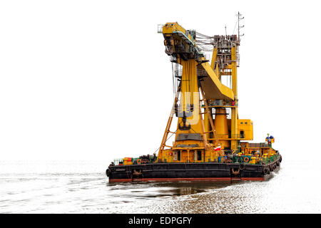 Photo of a floating crane isolated on white background. Stock Photo