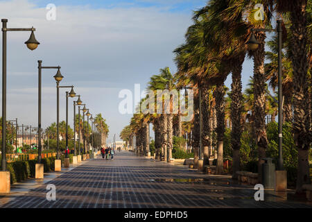 A few people walking along the promenade by Valencia Beach with windswept palm trees and winter sunshine Stock Photo