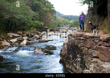 A walker and her dog on the Fishermans Path alongside the River Glaslyn in the Aberglaslyn Pass near Beddgelert in North Wales, Stock Photo