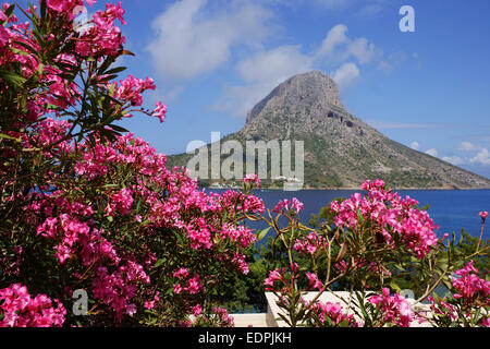 Island Telendos seen from Mirties on Island Kalymnos, with Rhododendron flowers, Greece Stock Photo