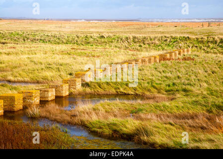 Concrete blocks set as tank traps in the 1940s during the second world war on the coast at Shingle Street, Suffolk, England, UK Stock Photo