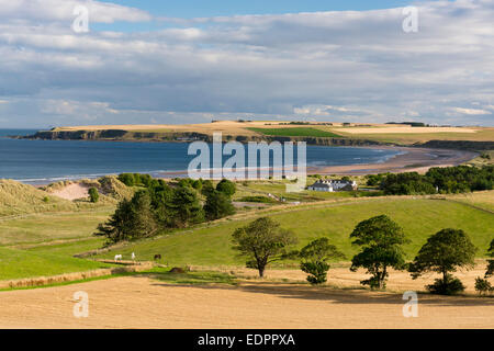 lunan bay montrose north sea beach Stock Photo