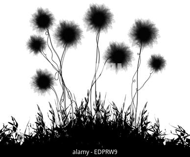 Freestyle black & white illustration of a family of beautiful dandelions growing on grass for decorative or romantic themes Stock Photo