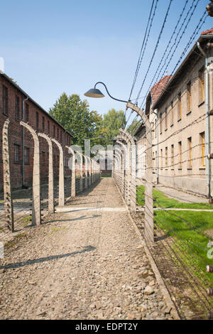 barbed wire fencing and surround blocks at Auschwitz concentration camp, Auschwitz, Poland Stock Photo