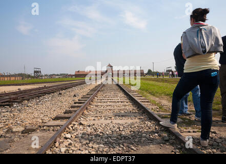 rail tracks, railway tracks, leading to entrance gate at the Auschwitz-Birkenau concentration camp, Auschwitz, Poland Stock Photo