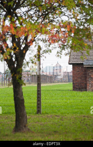 Autumn colours of tree contrast with sombre feel of entrance gate at the Auschwitz-Birkenau concentration camp, Auschwitz Poland Stock Photo