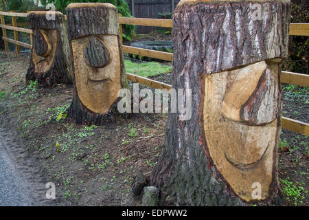 The bottom of three tree stumps on a verge have been carved to look like funny faces