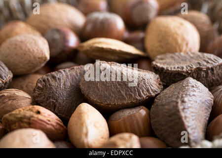 Mixed whole nuts in shell close up with Brazil nut in focus. Stock Photo