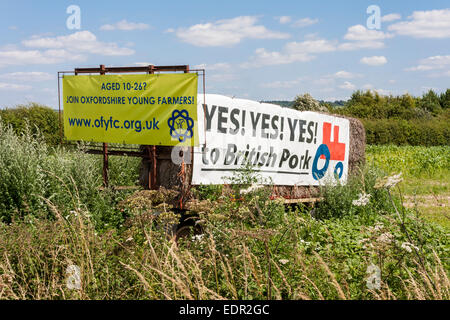 The red tractor symbol on a banner promoting British pork in a farmer's field. Stock Photo