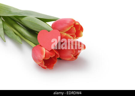 fresh red tulips with paper heart on white, copy space for valentines text Stock Photo