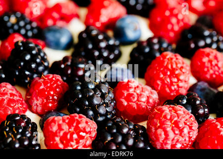 Berry and mascarpone tart Stock Photo