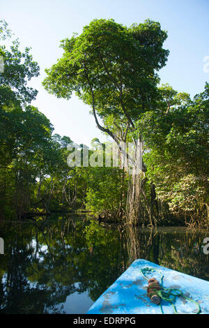 Dominikanische Republik, Nordosten, Rio San Juan, Laguna Gri-Gri Stock Photo