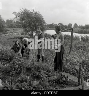 1950s, historical picture showing four agricultural college students of ...