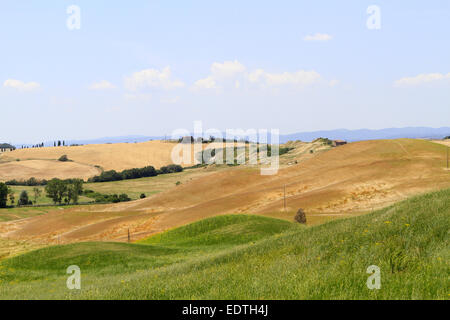 Italien, typische Landschaft in der Toskana, Crete Senesi,Italy typical landscape of Tuscany, Crete Senesi,italy, tuscany, crete Stock Photo