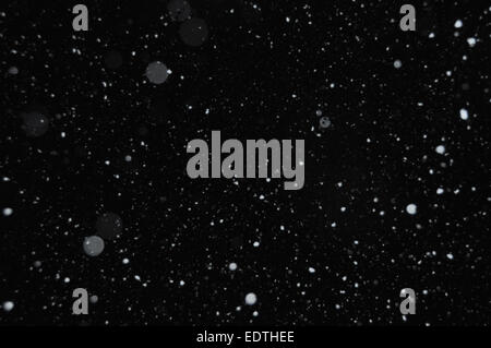 Snowflakes on winter sky. Snow storm abstract background blur. Stock Photo