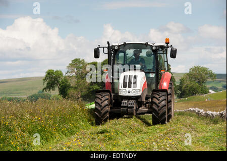 Farmer mowing traditional hay meadow with Steyr tractor and a drum mower, Cumbria, UK. Stock Photo