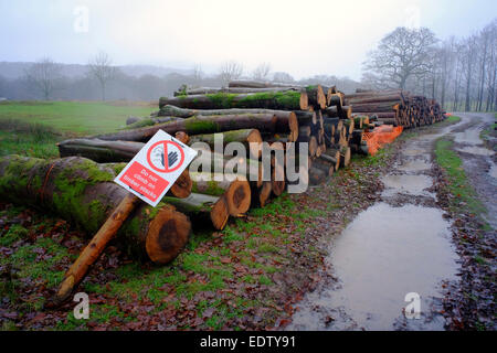 large pile of logs by a waterlogged muddy track with fallen warning sign Stock Photo