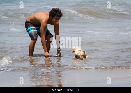 A young man playing with a puppy on a beach in Bali Stock Photo