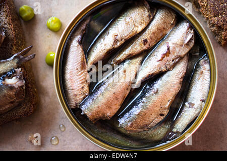 Tin can of sprats, sardines. Top view Stock Photo