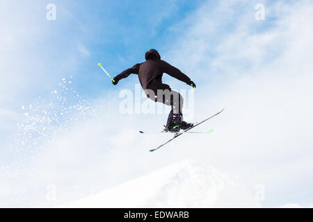 Free style skier. Stock Photo