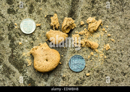 Concept image - money / broken biscuit. Stock Photo