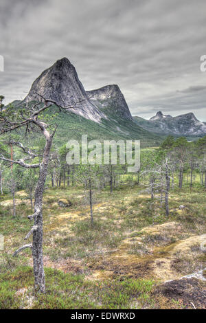 Norwegian tundra and mountains landscape in summer Stock Photo