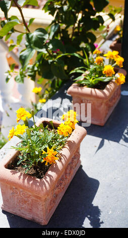 Positano and Amalfi, the most famous summer vacationland in southern Italy. Stock Photo