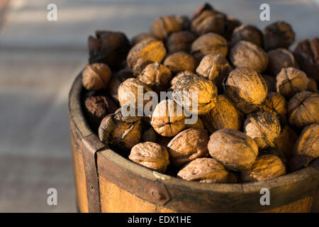 close up of vintage bucket filled with freshly harvested Spanish walnuts against a moody dark background Stock Photo