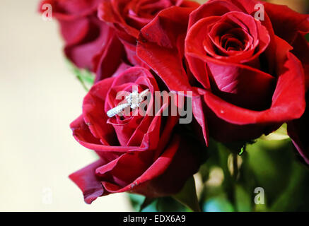 A diamond engagement ring is placed inside a red rose. More roses are in the background. Stock Photo