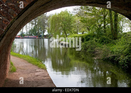 The Grand Western Canal near Halberton in Devon Stock Photo