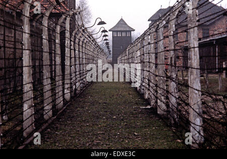 Auschwitz Concentration Camp, Poland. Built during the 2nd World War. Over a million prisoners, 90% Jews with many other countries were exterminated by the Nazis. The camp was liberated in 1945 by the Soviets. Stock Photo