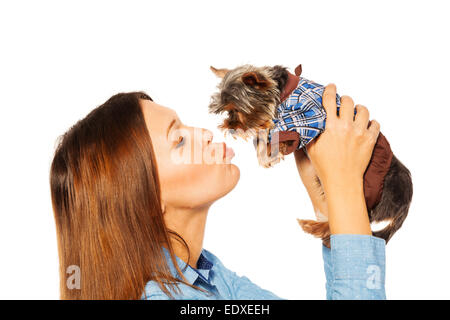 Beautiful woman kissing brown Yorkshire Terrier Stock Photo