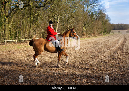 A Master of Foxhounds at a Drag Hunt UK Stock Photo