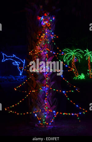 A homeowner in Florida, USA, has decorated his yard for the Christmas holidays with a tropical theme by using strings of colored lights. Stock Photo